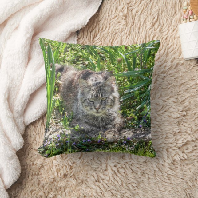 Cat During Eclipse Cushion (Blanket)
