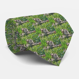 Cat During Eclipse Tie