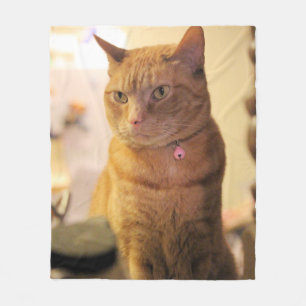 Cat Duvet Cover Fleece Blanket
