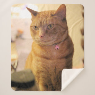 Cat Duvet Cover Fleece Blanket