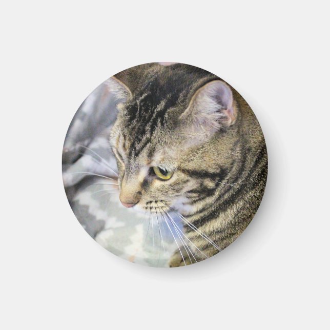 Cat Earrings Charm Golf Ball Marker Golf Hat Clip  Magnet (Front)