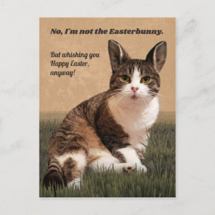 Cat-Easterbunny 😸🐰 Postcard