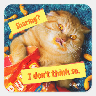 Cat Eating Cheese Puffs Square Sticker