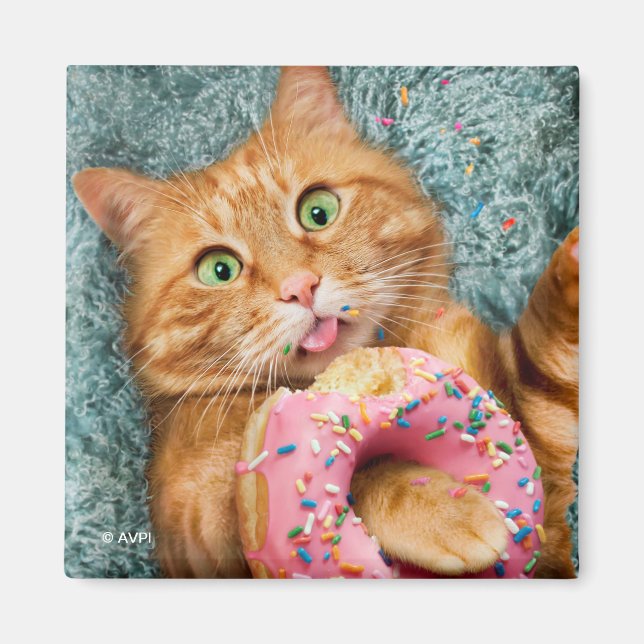 Cat Eating Donut Magnet (Front)