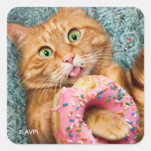 Cat Eating Donut Square Sticker