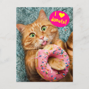Cat Eating Doughnut Invitation Postcard