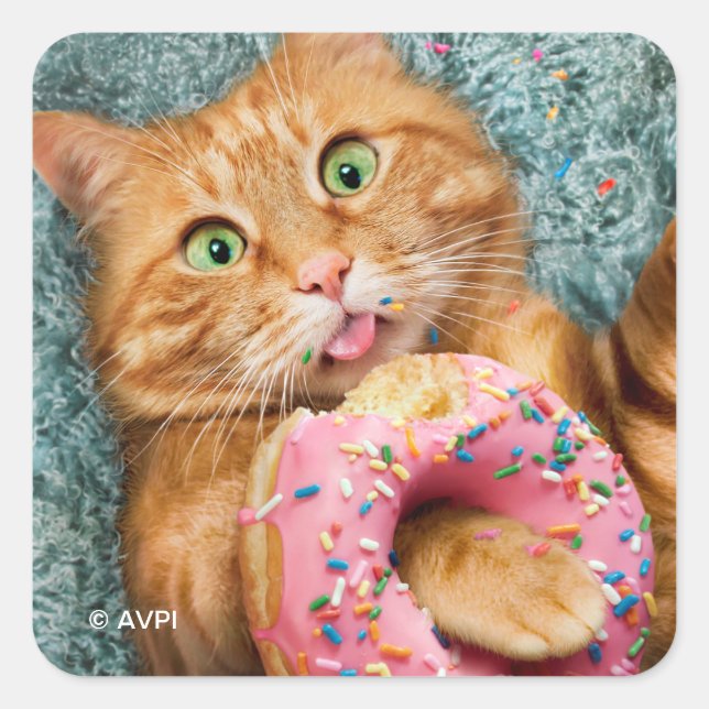 Cat Eating Doughnut Square Sticker (Front)