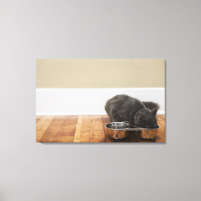 Cat eating from bowl canvas print (Front)