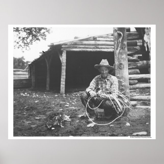 Cat eating out of a coffee can poster (Front)
