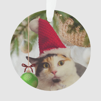 Cat Elf Ornament