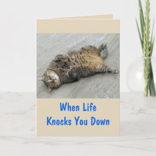 Cat Encouragement Fight Back Card