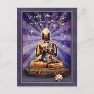 Cat Enlightenment Postcard