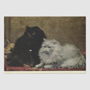 Cat Ephemera Decoupage Black White Persians Tissue Paper