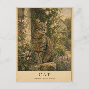 Cat European Country Gardens VINTAGE Postcard