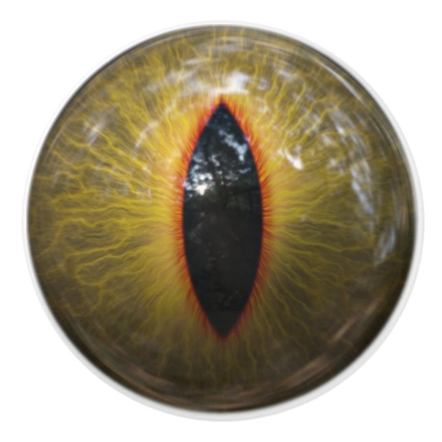 Cat Eye Ceramic Knob (Front)