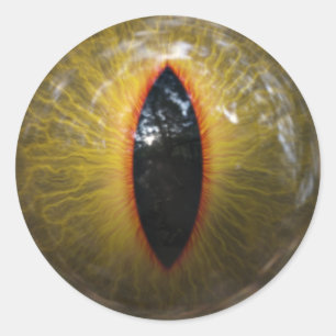 Cat Eye Classic Round Sticker