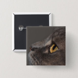 Cat Eye-Macro by Shirley Taylor 15 Cm Square Badge