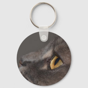 Cat Eye-Macro by Shirley Taylor Key Ring