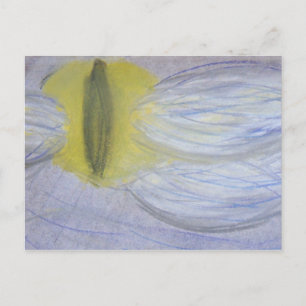 cat eyed moon postcard