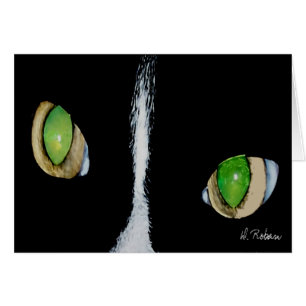 Cat Eyes