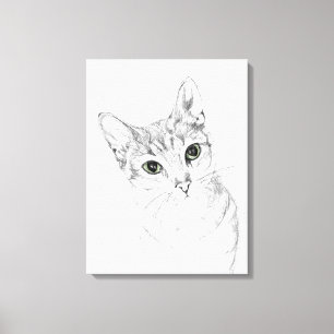 Cat Eyes A Pencil Drawing Canvas Print