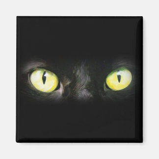 Cat Eyes, Black and Yellow Stare Magnet