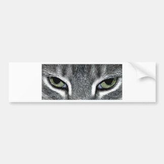 Cat Eyes Bumper Sticker