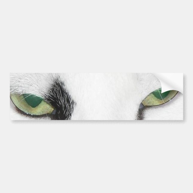 Cat Eyes Bumper Sticker (Front)