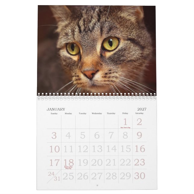 Cat Eyes Calendar (Jan 2027)
