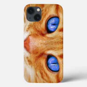 Cat Eyes Cat Eyes Face Tiger Mackerel Red Cat iPhone 13 Case