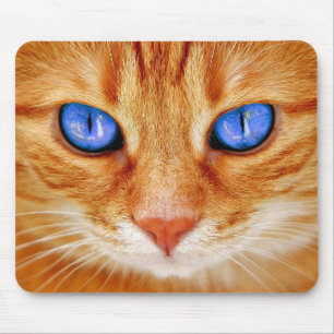 Cat Eyes Cat Eyes Face Tiger Mackerel Red Cat Mouse Mat