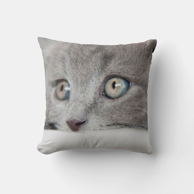Cat Eyes Cushion (Front)