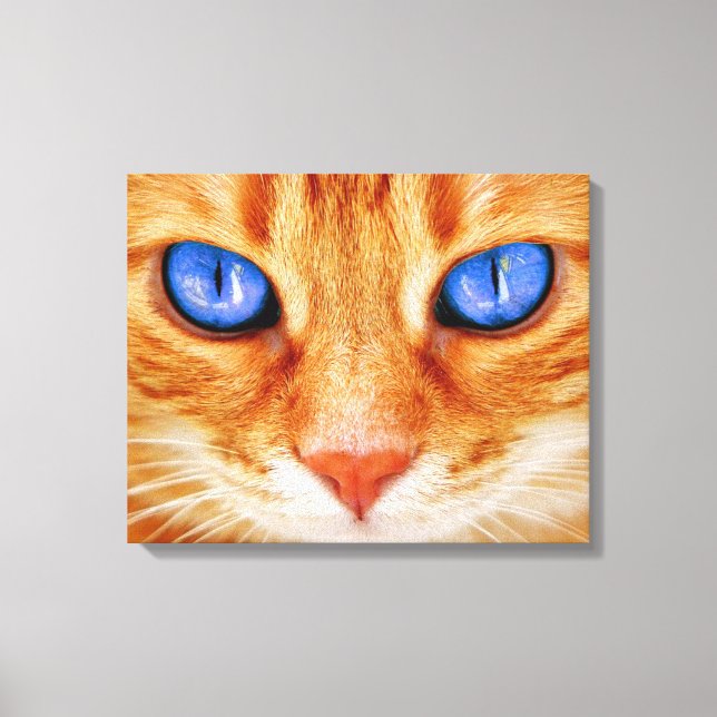 Cat Eyes Face Tiger mackerel red Cat Canvas Print (Front)