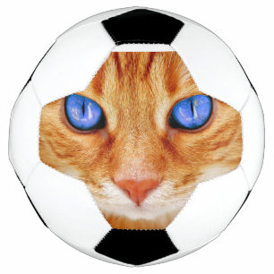 Cat Eyes Face Tiger mackerel red Cat Football