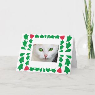 Cat Eyes Greeting Card