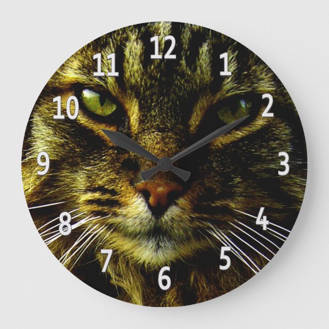 Cat Eyes Hypnotising Framed Photo Large Clock (Front)