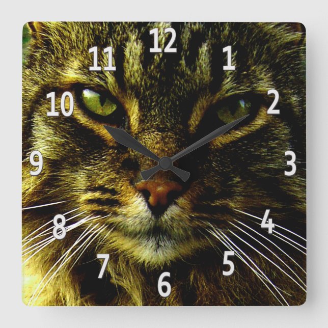 Cat Eyes Hypnotising Framed Photo Square Wall Clock (Front)