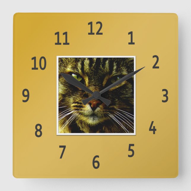 Cat Eyes Hypnotising Golden Framed Photo Square Wall Clock (Front)