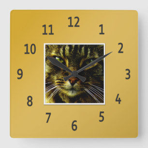 Cat Eyes Hypnotising Golden Framed Photo Square Wall Clock