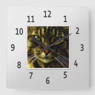 Cat Eyes Hypnotising Silver Framed Photo Square Wall Clock