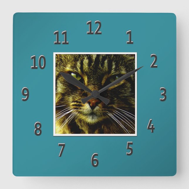 Cat Eyes Hypnotising Teal Framed Photo Square Wall Clock (Front)
