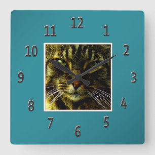 Cat Eyes Hypnotising Teal Framed Photo Square Wall Clock