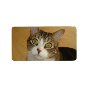 Cat Eyes Label