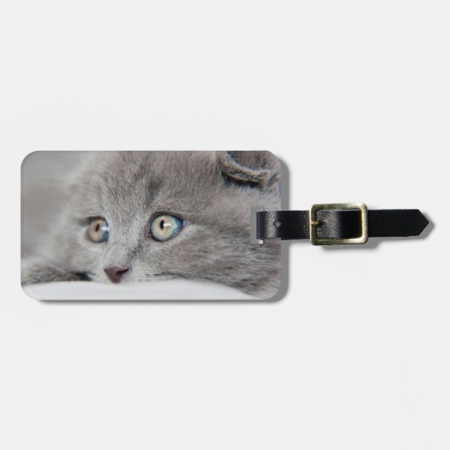 Cat Eyes Luggage Tag (Front Horizontal)