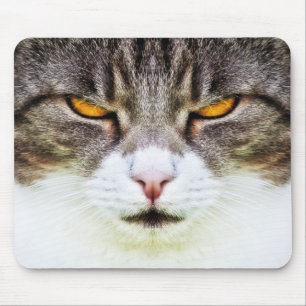 cat eyes mouse mat