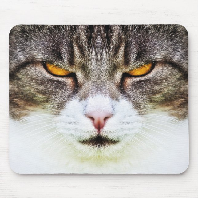 cat eyes mouse mat (Front)