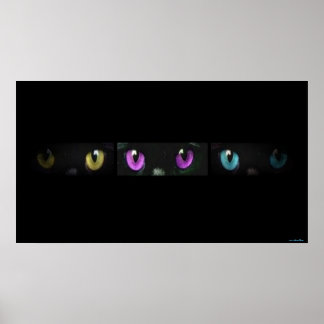 Cat Eyes Print