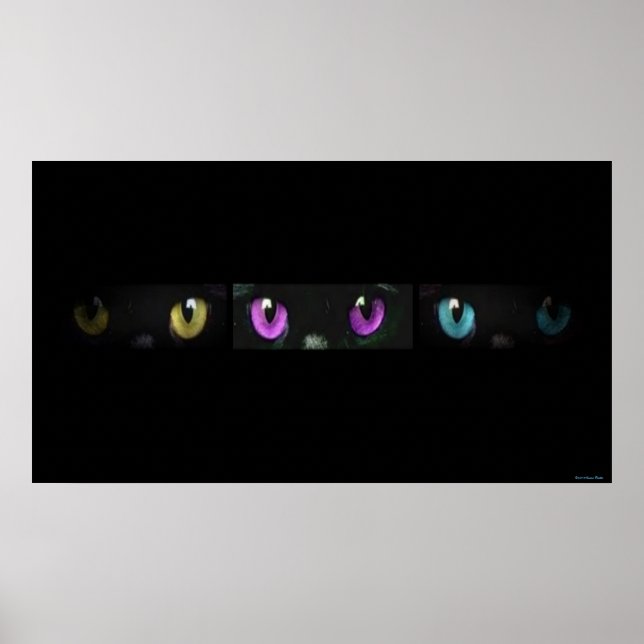 Cat Eyes Print (Front)