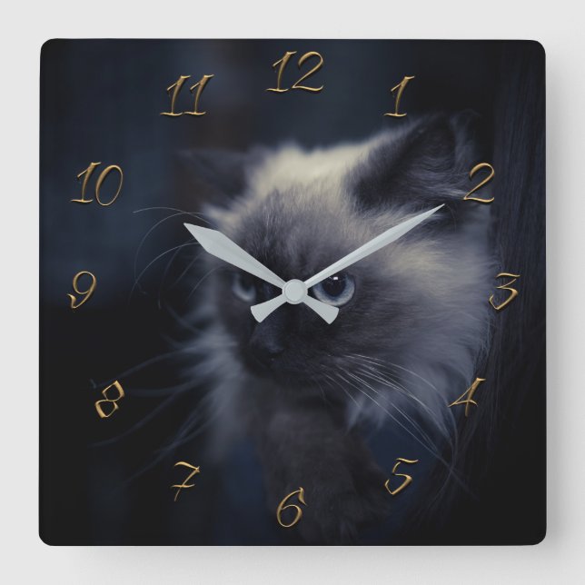 Cat eyes square wall clock (Front)