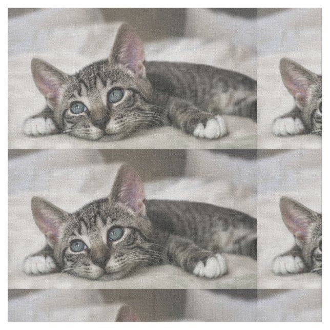 Cat fabric ! (Close Up)